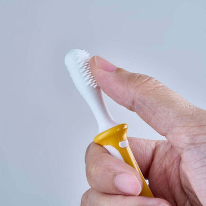 Cepillos Dentales - Set De Aprendizaje - 3 Pasos