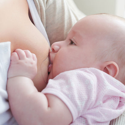 Protector De Pezón Silicona Tamaño L 17 Mm